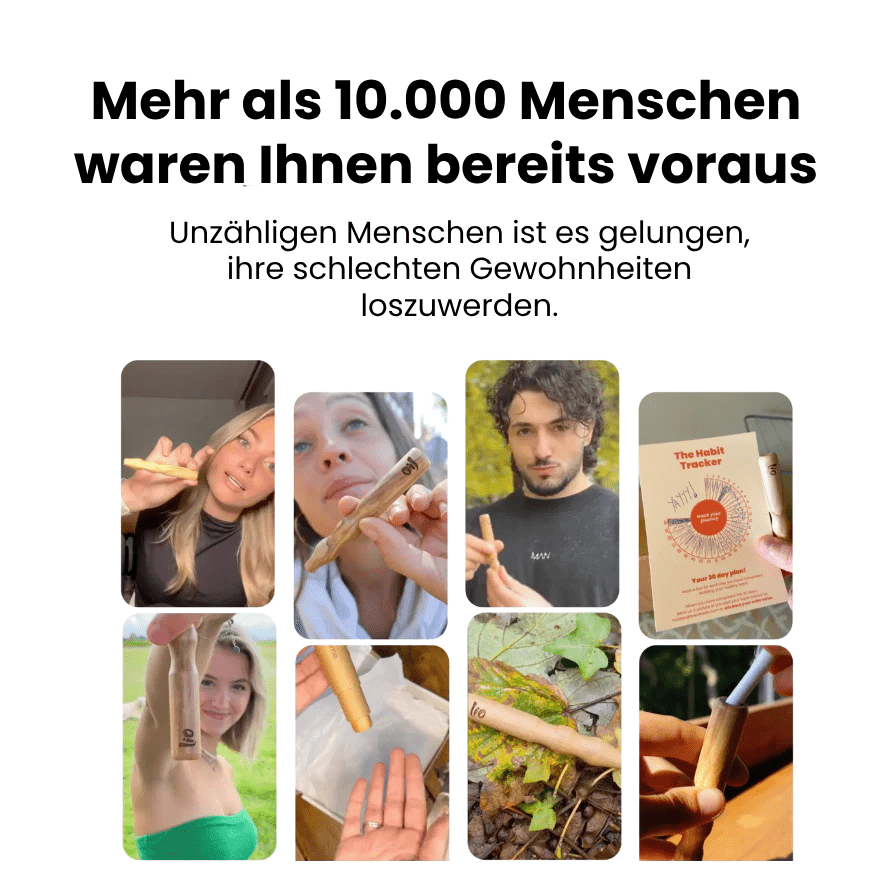Lio Reis Pakket